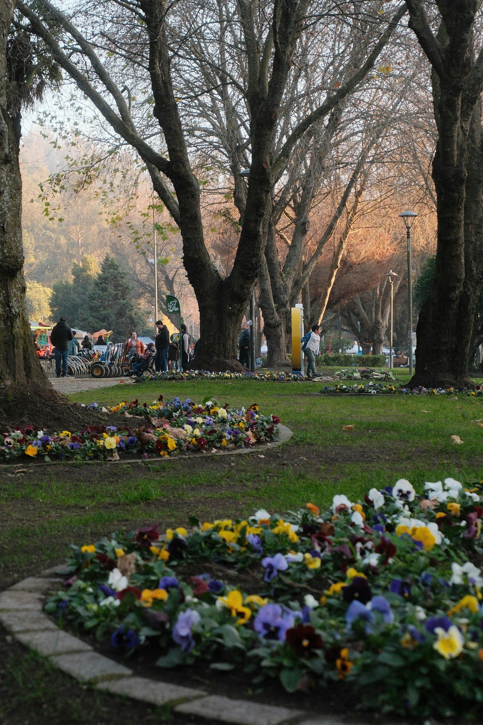 Gardens in Hervey Bay